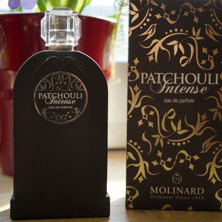 Patchouli Intense (2010) - Molinard