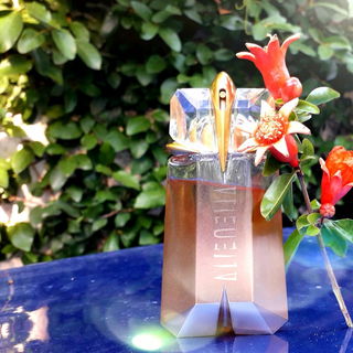 Alien Sunessence Édition Or d'Ambre - Mugler