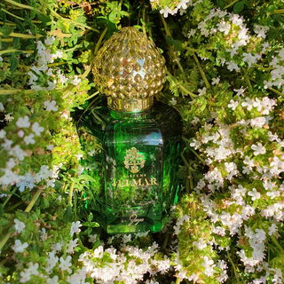 Zaya - Parfums d'Elmar