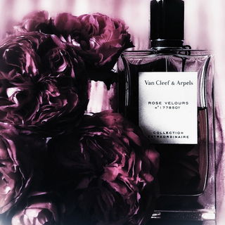 Rose Velours - Van Cleef & Arpels