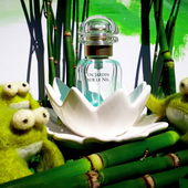 Dufte Frösche am Nil (von Timmama)