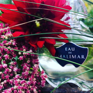 Eau de Shalimar by Guerlain