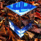 Zen leaves (von Itchynose)