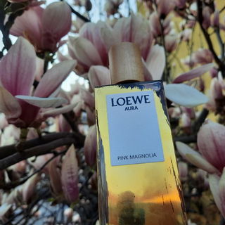 Aura Pink Magnolia von Loewe