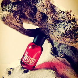 Red Wood - Dsquared²
