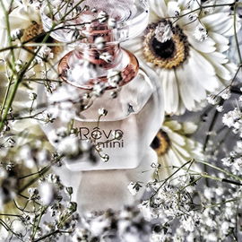Rêve d'Infini - Lalique