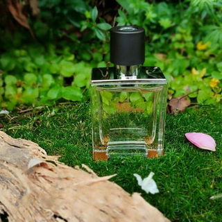 Terre d'Hermès (Eau de Toilette) von Hermès