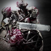 🥀 Vielen Dank an alle für eure lieben Kommentare 🥰 (von CharlAmbre)