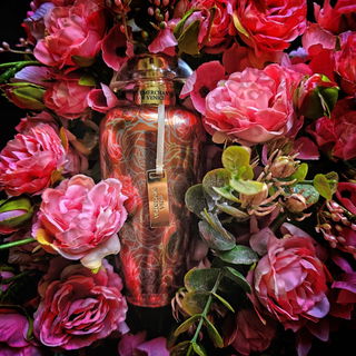 Rosa Moceniga von The Merchant Of Venice