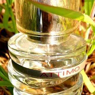 Attimo - Salvatore Ferragamo