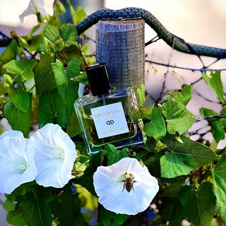 Encounters - Francesca Bianchi