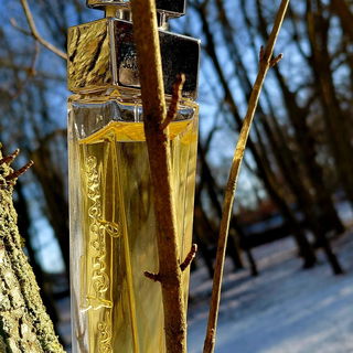 Salvatore Ferragamo Gold pour Femme by Salvatore Ferragamo