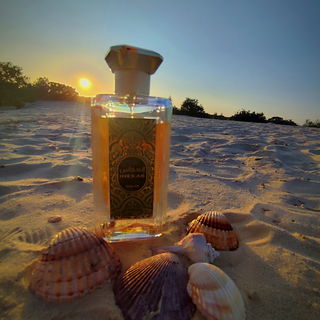 Inekas Solis / انعكاس