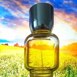 Loewe pour Homme (Eau de Toilette) - Loewe