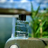 …📷🌍 Thank you. Danke schön. Merci beaucoup. Muchas gracias. Dōmo arigatō gozaimasu 💐… (by Kokusai)