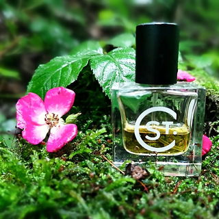 Armor von St. Clair Scents