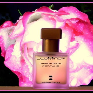 Rose Oud - Illuminum