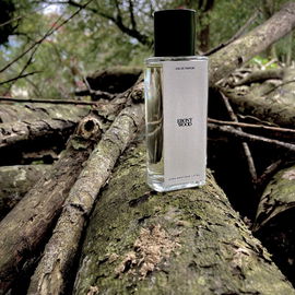 Zara Emotions N°03 - Ebony Wood (Eau de Parfum) - Zara
