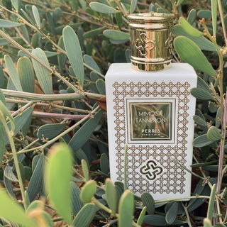 Mimosa Tanneron - Perris Monte Carlo