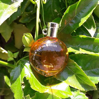 Elixir des Merveilles by Hermès