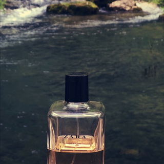 Zara Woman Oriental - Zara