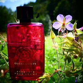 Chloé (2007) (Eau de Parfum) - Chloé