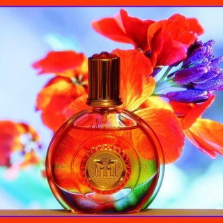 Floral / N°11 - M. Micallef