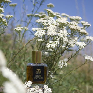 Fleurs Sauvages (2021) by Teone Reinthal Natural Perfume