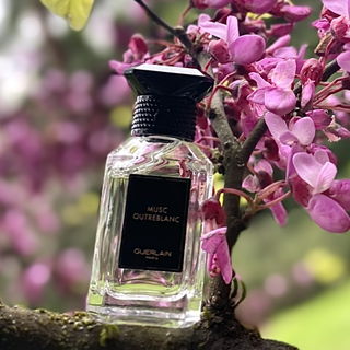 Musc Outreblanc (Eau de Parfum) von Guerlain
