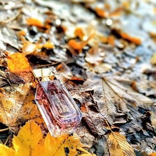 Gentle Fluidity (Gold) von Maison Francis Kurkdjian