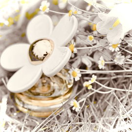 Daisy Love (Eau de Toilette) - Marc Jacobs