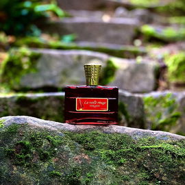 …📷🌍 Thank you. Danke schön. Merci beaucoup. Muchas gracias. Dōmo arigatō gozaimasu 💐…