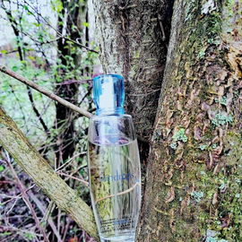 Raindrops (Eau de Parfum) - Ajmal