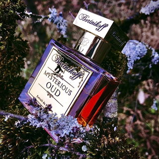 Mysterious Oud (Extrait de Parfum) - Bortnikoff