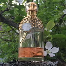 Aqua Allegoria Lilia Bella - Guerlain