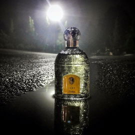 Jicky (Eau de Parfum) - Guerlain