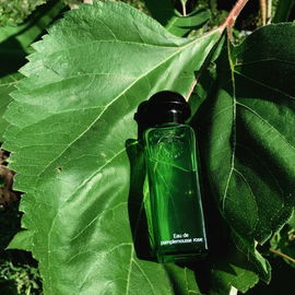 Eau de Pamplemousse Rose - Hermès