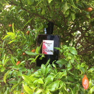 Imperial Tea von Kilian