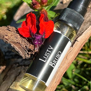 Der Zauberer mit seiner Begleitung (Bat Face Cuphea)