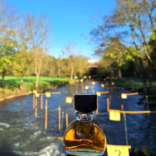 Balestra (1978) (Eau de Toilette) - Renato Balestra