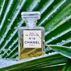 N°19 (Eau de Parfum) - Chanel