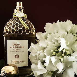 Aqua Allegoria Harvest Nerolia Vetiver by Guerlain