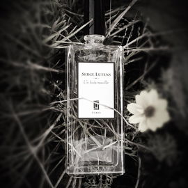 Un bois vanille - Serge Lutens