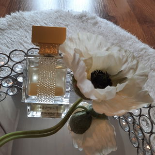 Ylang in Gold (Eau de Parfum) by M. Micallef