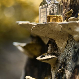 Ganz herzlichen Dank für die Gedanken und Besuche.