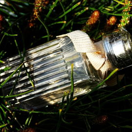 Chloé Fleur de Parfum - Chloé