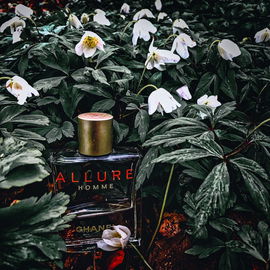 Allure Homme (Eau de Toilette) - Chanel