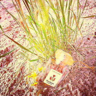 Fiori di Capri (Eau de Toilette) - Carthusia