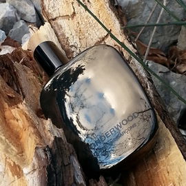 Wonderwood - Comme des Garçons