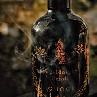 A Midnight Stroll by Gucci